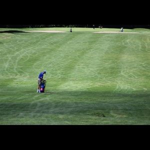 Meet your Posher, Landon